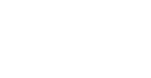 The Foozie